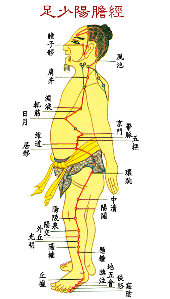 足少陰膽經(jīng)