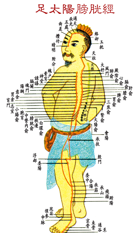 足太陽膀胱經(jīng)