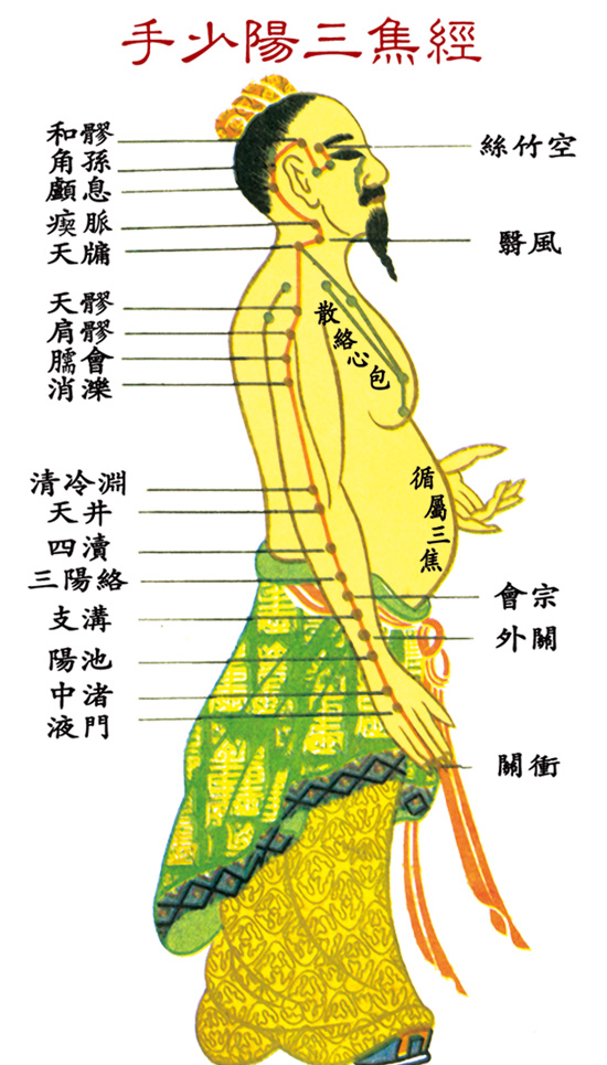 手少陽三焦經