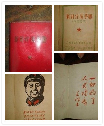 新針灸療法手冊