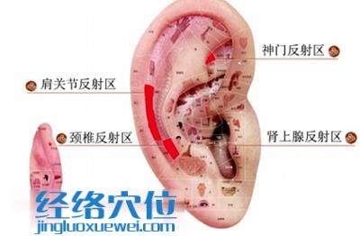耳部理療法