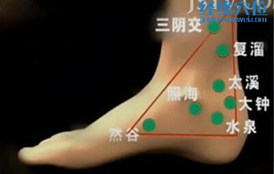 太溪穴、照海穴的位置圖