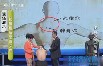 大椎穴、肺俞穴的穴位位置圖