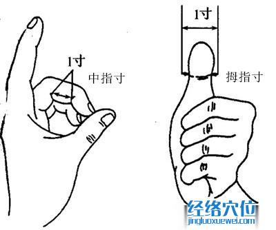 拇指中指同身寸法 比量示范圖