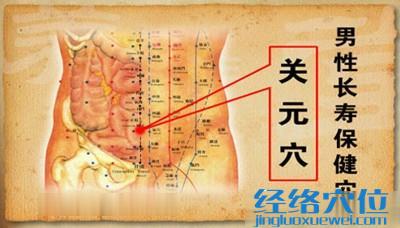 關元穴的準確位置圖