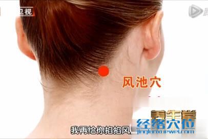 風池穴的準確位置圖