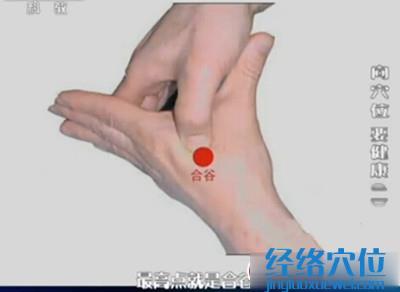 合谷穴的準確位置圖