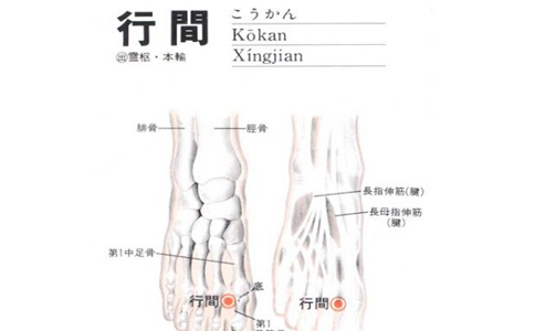 詳解腳底穴位圖 腳底穴位都有哪些 腳底有什么穴位