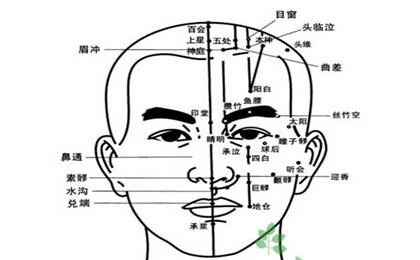 面部穴位面部穴位圖