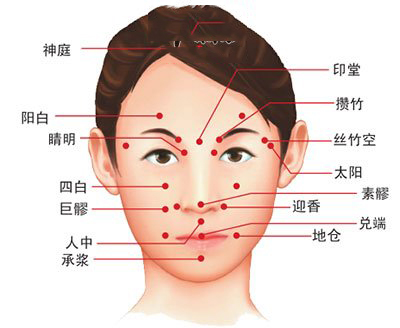 面部穴位面部穴位圖